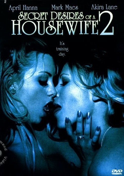 Secret Desires of a Housewife 2 movie poster