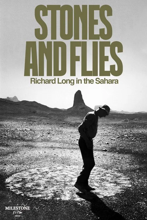 Stones and Flies: Richard Long in the Sahara movie poster