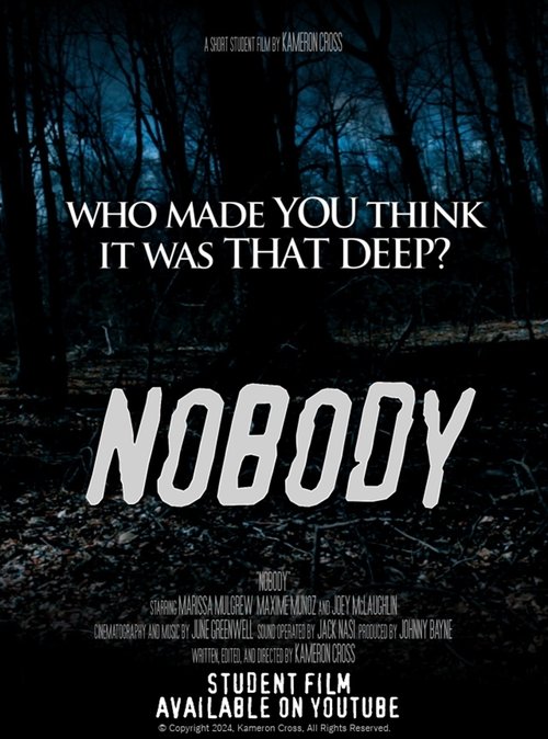 Nobody movie poster