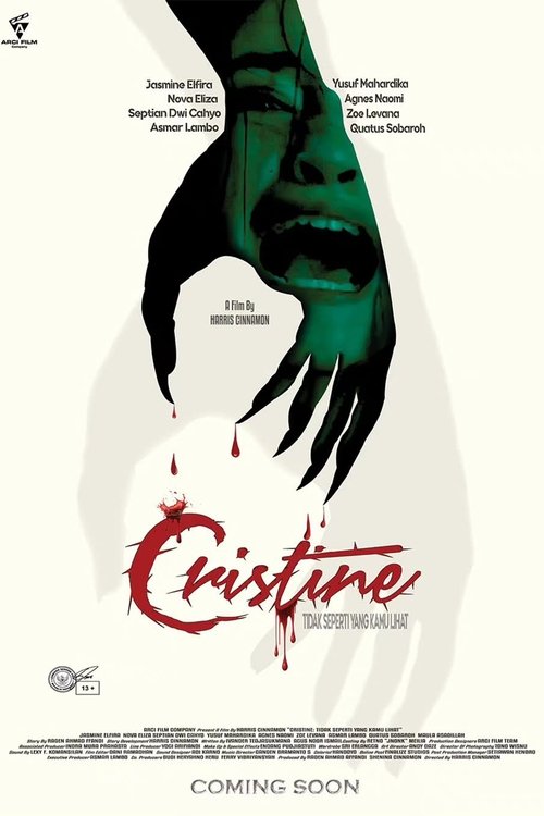 Poster do filme Cristine: It's Not What It Seems