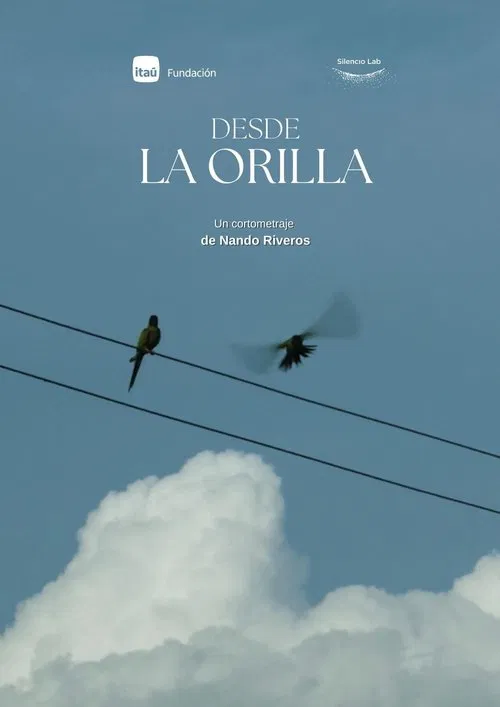 From the shore movie poster