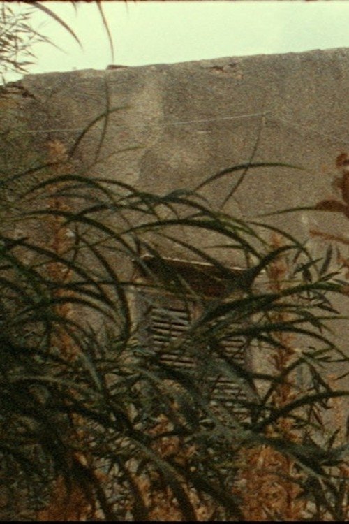 House of the Wickedest Man in the World movie poster