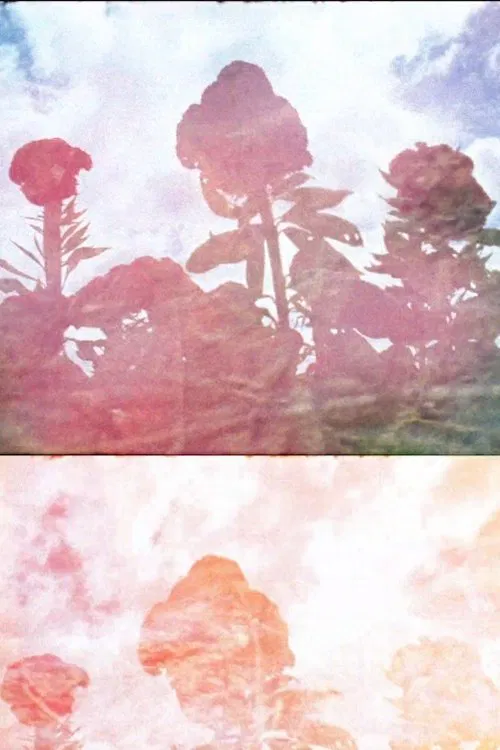 Sun Stone movie poster
