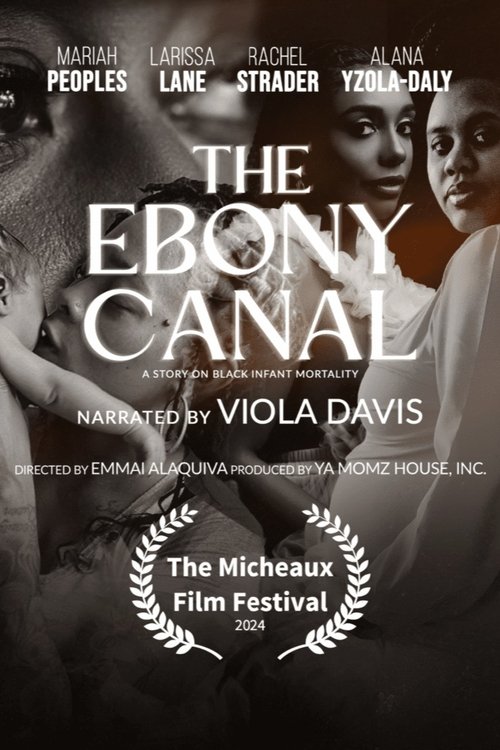 The Ebony Canal: A Story of Black Infant Mortality movie poster