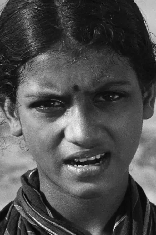 Shirin profile picture