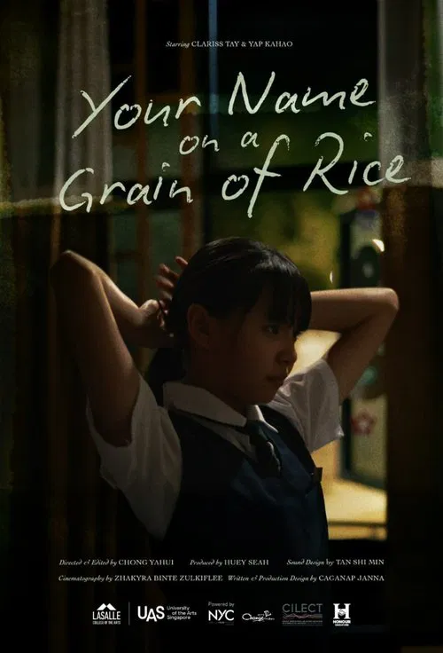 Your Name on a Grain of Rice movie poster