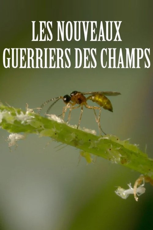 Les nouveaux guerriers des champs movie poster