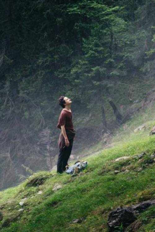 Der Wanderer movie poster