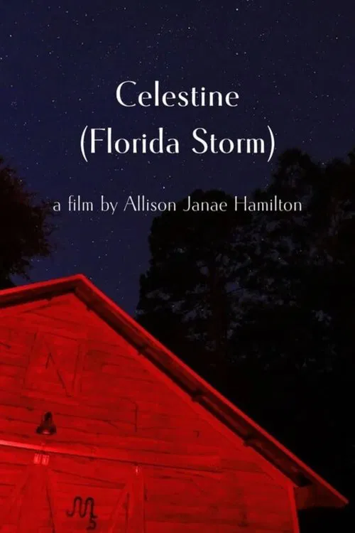 Celestine (Florida Storm) movie poster