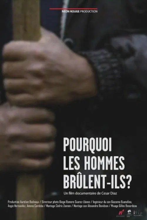 Pourquoi les hommes brûlent-ils? movie poster