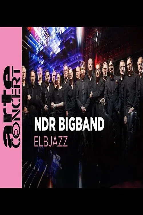NDR Bigband feat. Lenine & Martin Fondse: The Bridge Elbjazz Festival 2024 movie poster