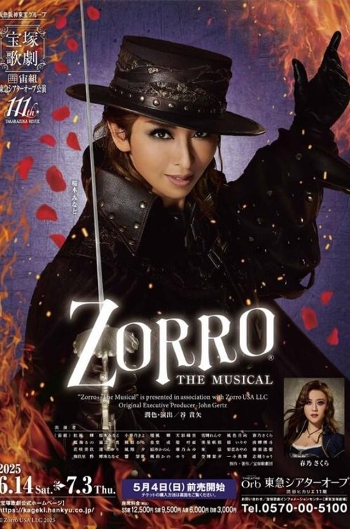 Zorro the Musical movie poster