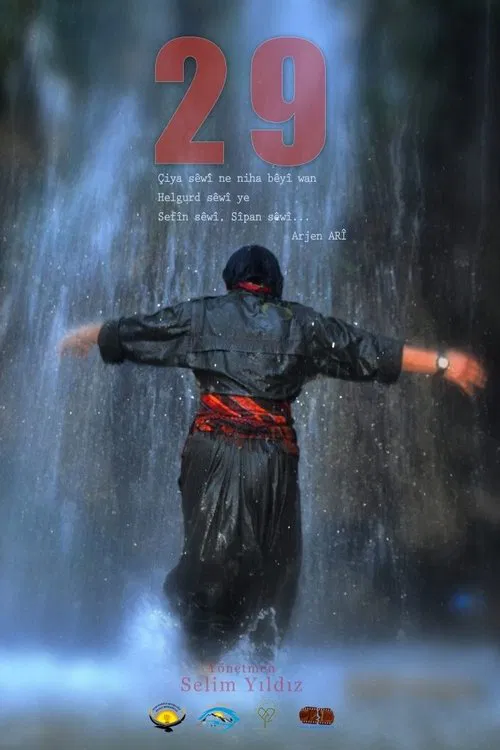 29 movie poster