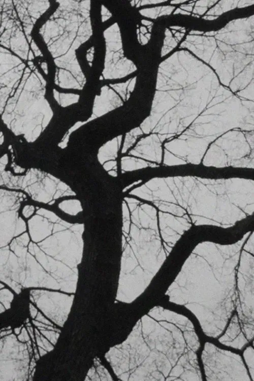 The Tree movie poster