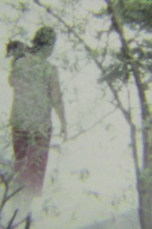 A Tale of Heaven movie poster