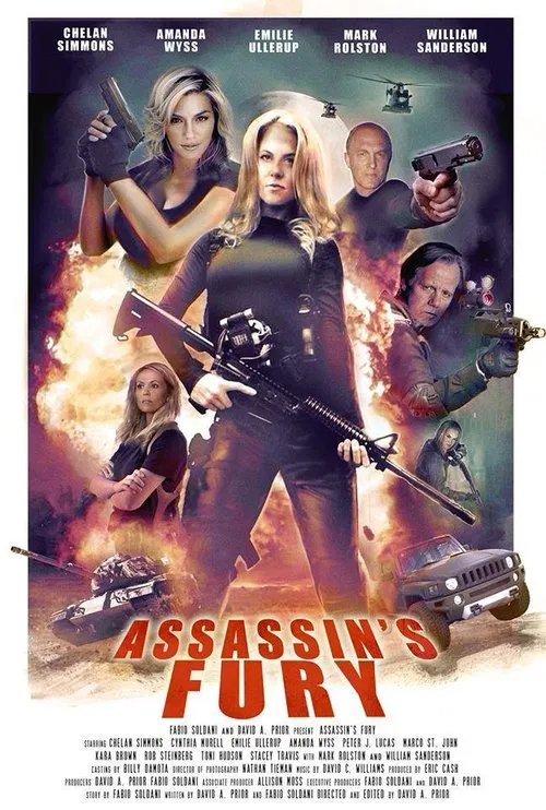 Assassin's Fury movie poster