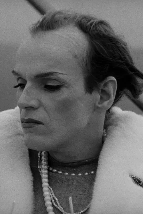 Incognito movie poster