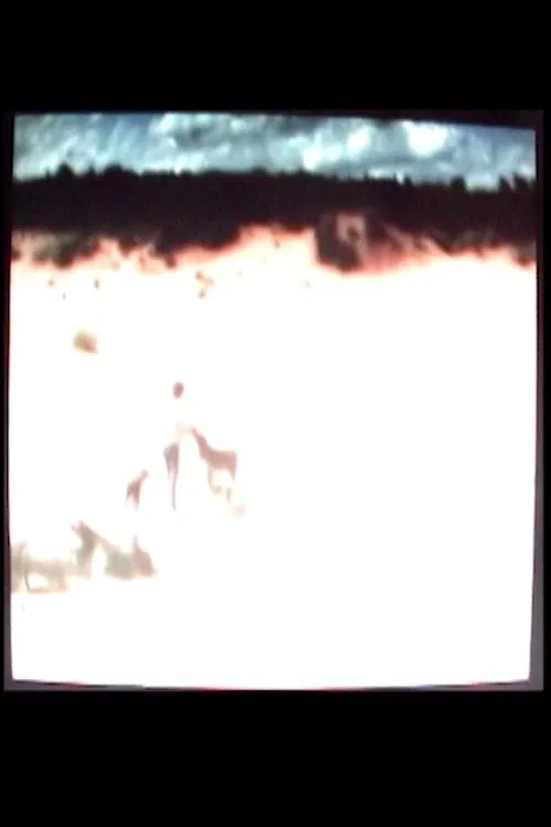 Trip to the Sand Dunes movie poster