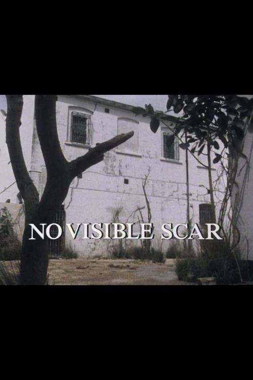 No Visible Scar movie poster