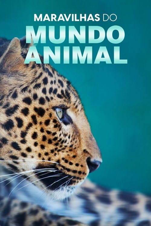 Poster da série Maravilhas do Mundo Animal