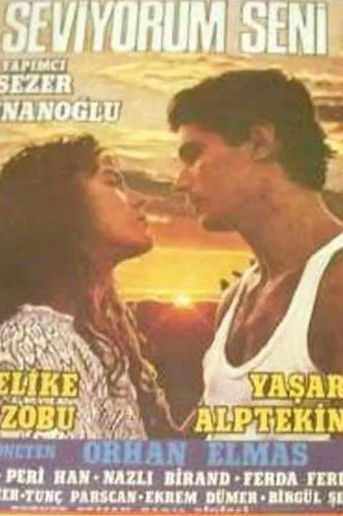 Seni Seviyorum movie poster