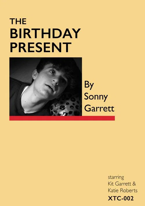 Poster do filme The birthday present
