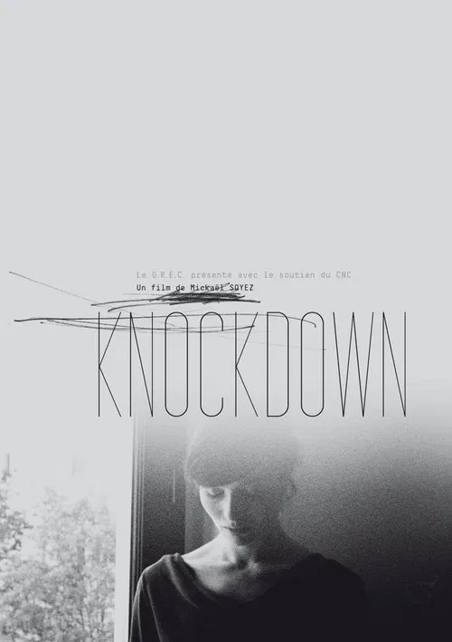 Knockdown movie poster