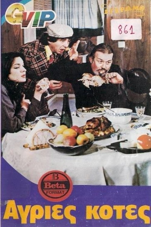 Poster do filme Άγριες κότες