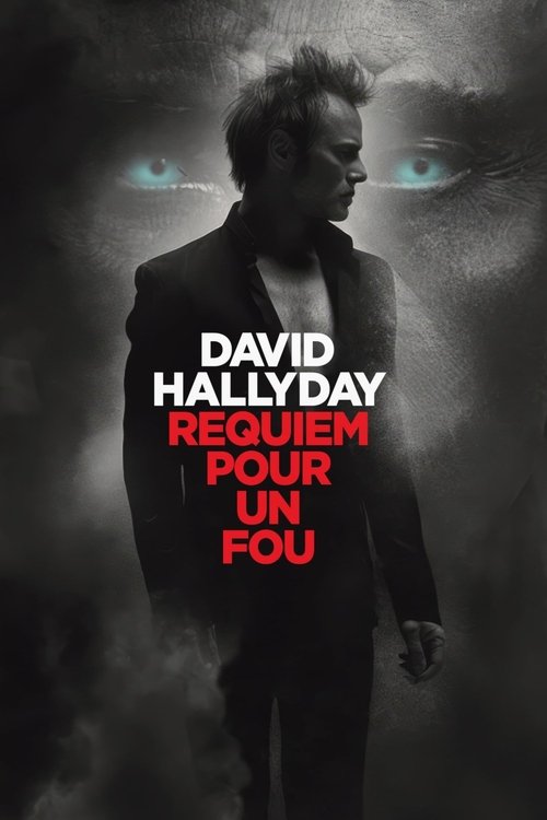 David Hallyday, requiem pour un fou movie poster