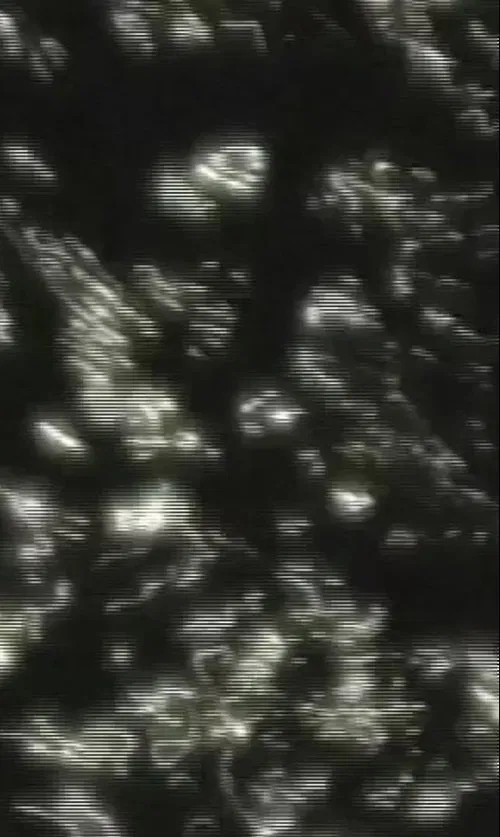 Poster do filme Silver Play