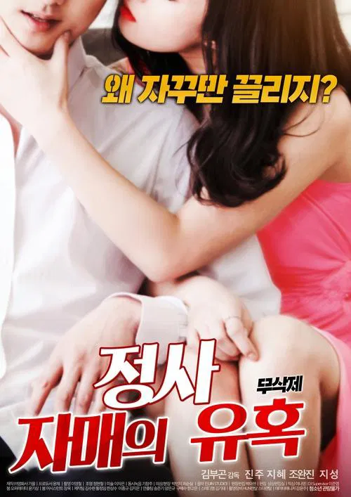 Poster do filme Affair: Sister’s Temptation