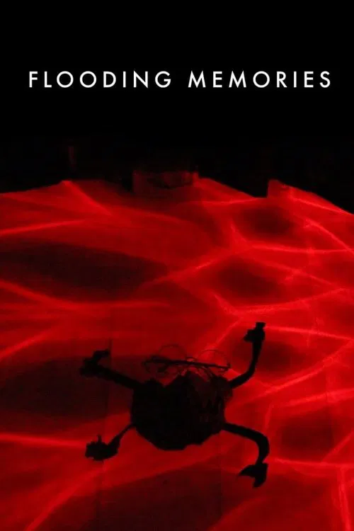 Flooding Memories movie poster