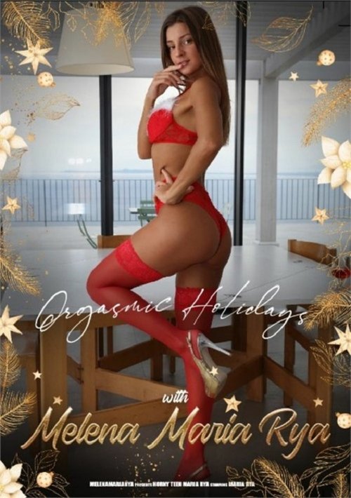 Orgasmic Holidays movie poster