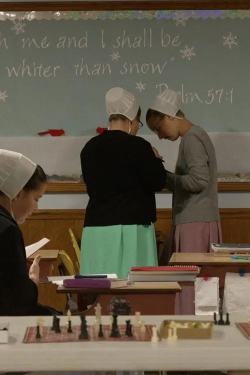 The Amish Dilemma movie poster