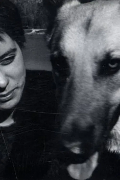 Crowdog movie poster