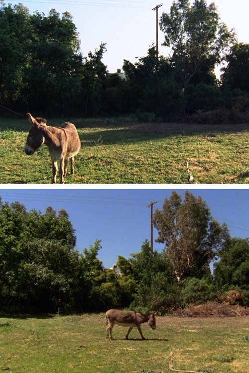 Changed Landscape movie poster