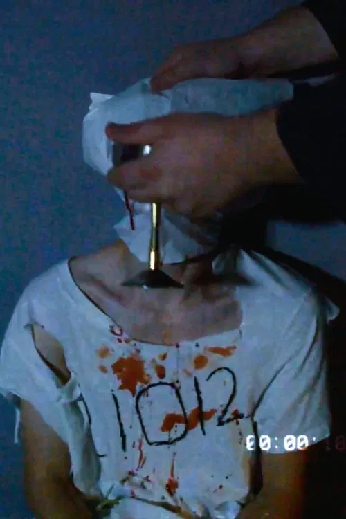 FALLEN FROM GRASE movie poster