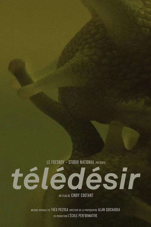 Télédésir movie poster