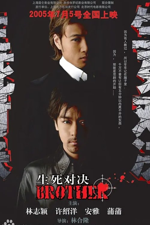 生死对决 movie poster