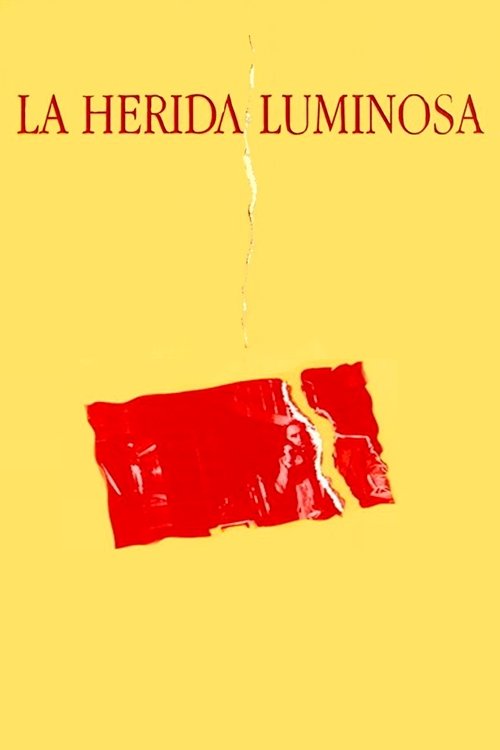 La herida luminosa movie poster