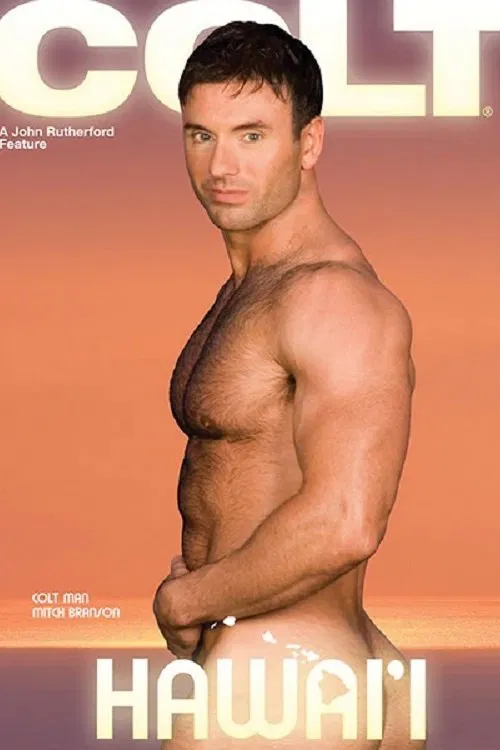 Hawai'i movie poster