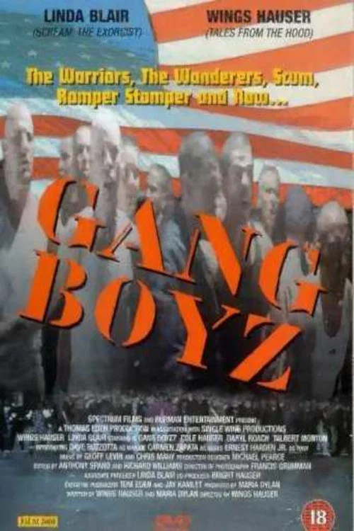 Poster do filme Gang Boys
