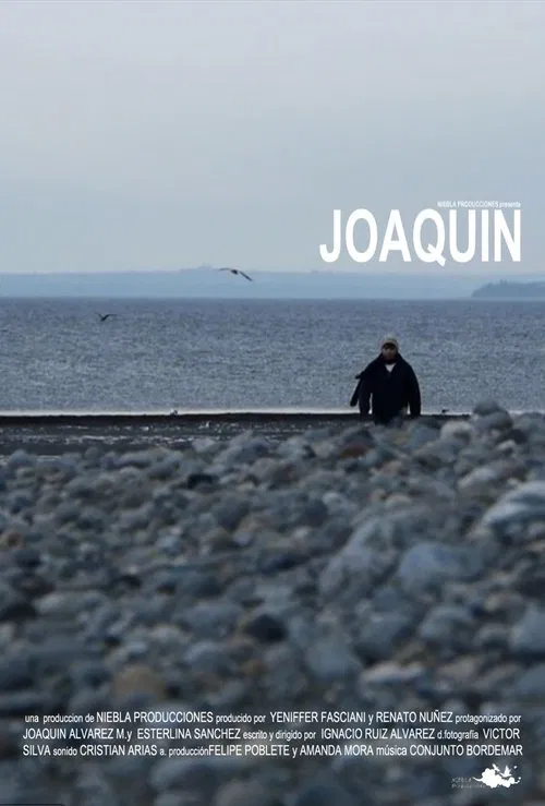 Poster do filme Joaquín