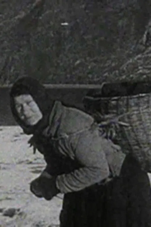 A Crofter's Life in the Shetlands movie poster