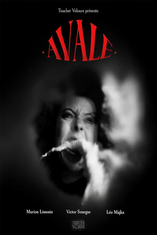 Swallow movie poster