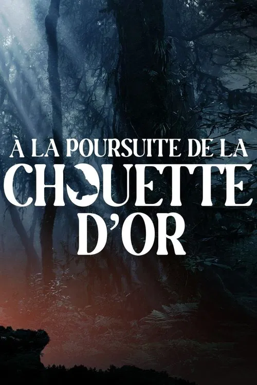 A la poursuite de la chouette d'or movie poster