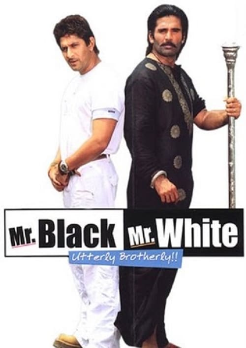 Poster do filme Mr. Black Mr. White