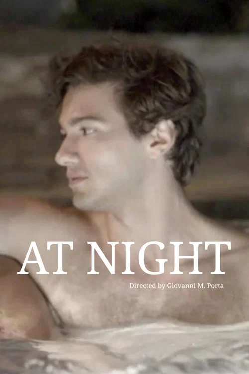 At Night movie poster