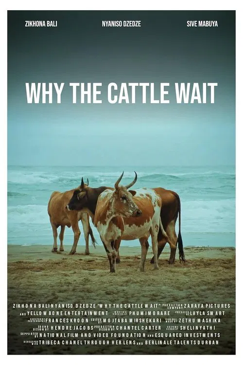 Poster do filme Why The Cattle Wait