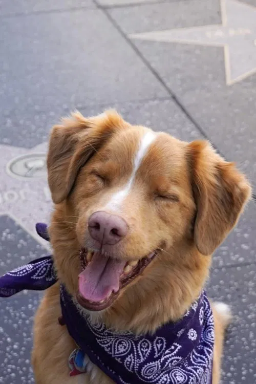 Indy profile picture